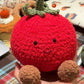 Tomato Crochet Kit